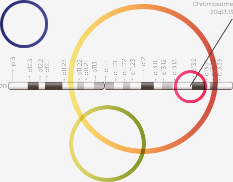 Image représentant une séquence ADN
