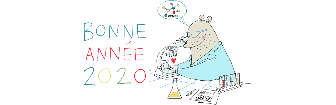 Illustration de Dominique Le Bagousse pour la nouvelle année 2020